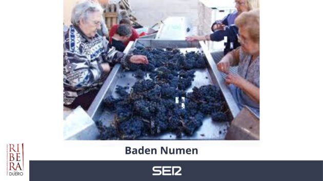 Baden Numen Baden Numen