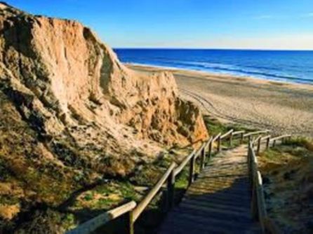 Playas de Doñana (Huelva) Playas de Doñana (Huelva)