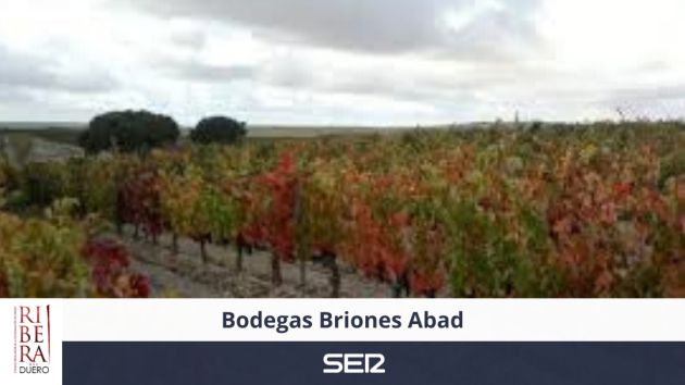 Briones Abad Briones Abad
