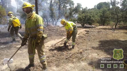 El fuego provocado por un rayo arrasa cerca de una hectárea de pinar en Roa El fuego provocado por un rayo arrasa cerca de una hectárea de pinar en Roa