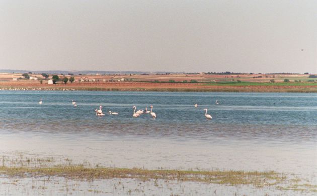 Laguna de Manjavacas en Mota del Cuervo. Laguna de Manjavacas en Mota del Cuervo.