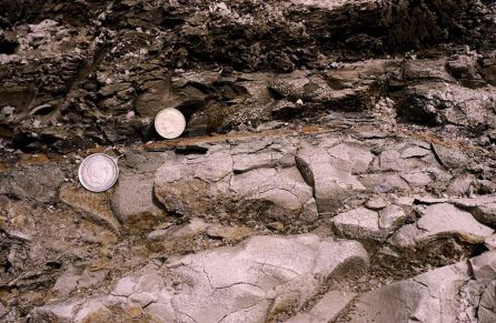 Detalle de las margas del Cretácico (Maastrichtiense), el nivel rojo de impacto (entre monedas) y arcilla oscura del límite KT de Caravaca Detalle de las margas del Cretácico (Maastrichtiense), el nivel rojo de impacto (entre monedas) y arcilla oscura del límite KT de Caravaca