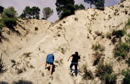 Margas del Cretácico (Maastrichtiense) y límite KT (barranco de la izquierda) de Caravaca Margas del Cretácico (Maastrichtiense) y límite KT (barranco de la izquierda) de Caravaca