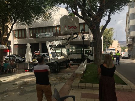 La alcaldesa de Petrer se ha interesado por los trabajos La alcaldesa de Petrer se ha interesado por los trabajos