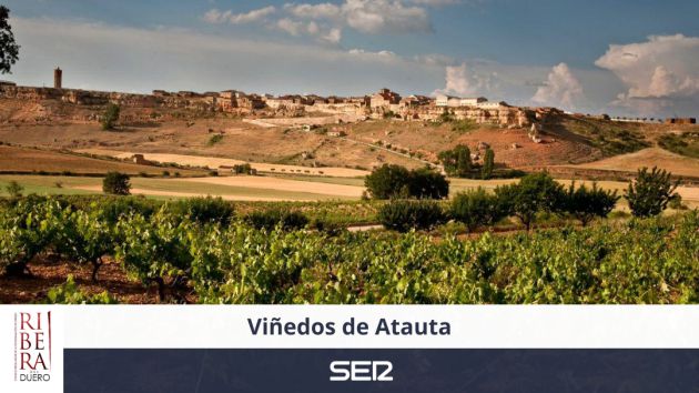 Bodegas Atauta Bodegas Atauta