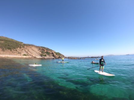 Paddle Surf- Club KCG. Paddle Surf- Club KCG.