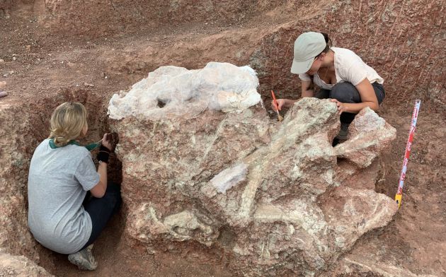 Los resultados de las primeras investigaciones del yacimiento de Poyos se presentarán el próximo otoño. Los resultados de las primeras investigaciones del yacimiento de Poyos se presentarán el próximo otoño.
