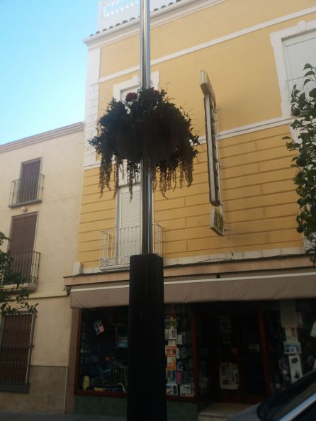 Adornos florales instalados en la farolas de la calle General Fresneda Adornos florales instalados en la farolas de la calle General Fresneda