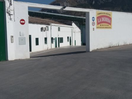 La fábrica 'Aceites La Dehesa' es la segunda con mayor producción en Jódar La fábrica 'Aceites La Dehesa' es la segunda con mayor producción en Jódar