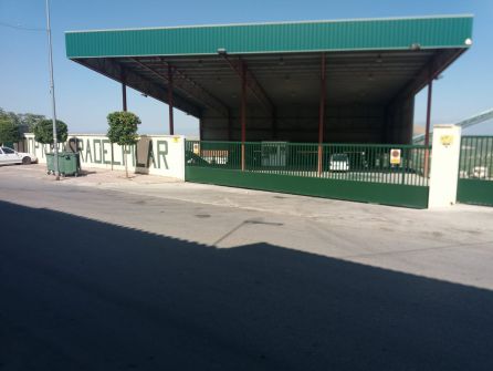 La cooperativa del Pilar de Andaraje es la que menor producción alcanza La cooperativa del Pilar de Andaraje es la que menor producción alcanza