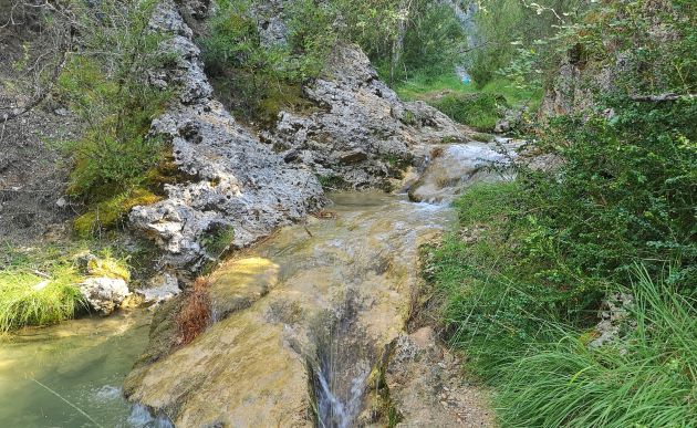 El paraje por el que caminamos es de un gran valor medioambiental. El paraje por el que caminamos es de un gran valor medioambiental.