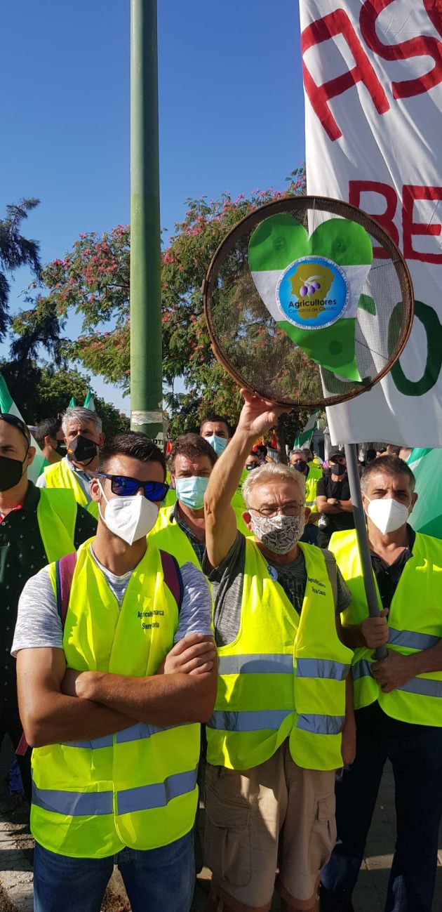 Reclaman nueva legislación para el etiquetado y cotra las mezclas reivindicando la trazabilidad del producto Reclaman nueva legislación para el etiquetado y cotra las mezclas reivindicando la trazabilidad del producto