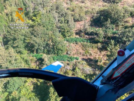 La plantación de Molinaseca vista desde el helicóptero La plantación de Molinaseca vista desde el helicóptero