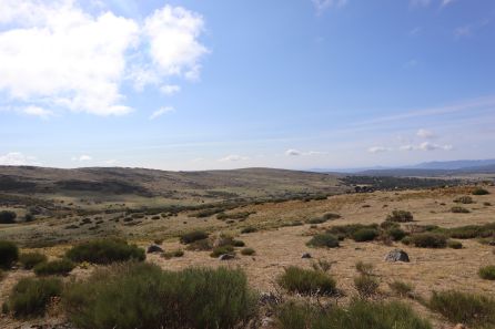 Paraje de Los Manchos donde están los terrenos en los que se proyecta la planta fotovoltaica Paraje de Los Manchos donde están los terrenos en los que se proyecta la planta fotovoltaica