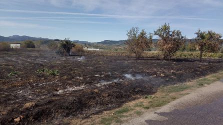 Zona afectada por el incendio Zona afectada por el incendio