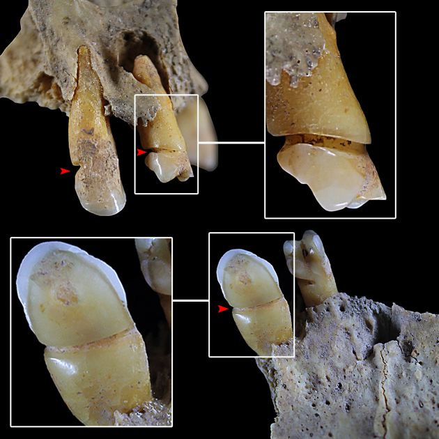 Investigación antropológica Investigación antropológica
