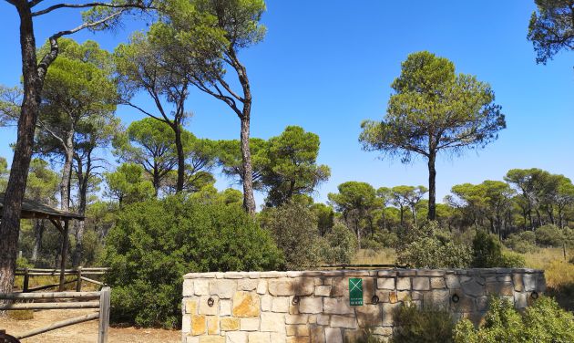 El pinar cuenta con un área recreativa. El pinar cuenta con un área recreativa.