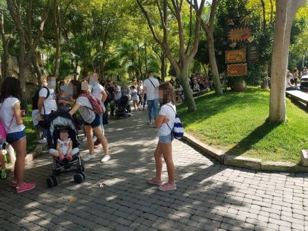Decenas de personas se agolpan en el Bioparc de València sin respeyar las distancias de seguridad para evitar contagios de coronavirus Decenas de personas se agolpan en el Bioparc de València sin respeyar las distancias de seguridad para evitar contagios de coronavirus