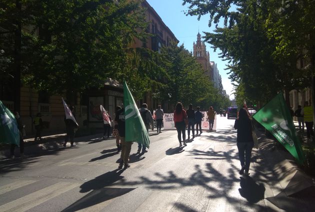 Manifestación estudiantil por la Gran Vía de Granada Manifestación estudiantil por la Gran Vía de Granada