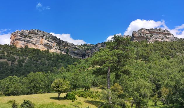 El recorrido nos lleva por una dehesa boyal donde pastaban bueyes y caballerías. El recorrido nos lleva por una dehesa boyal donde pastaban bueyes y caballerías.