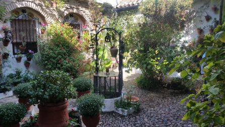 Patio de la Calle Parras 6, listo para ser visitado este otoño Patio de la Calle Parras 6, listo para ser visitado este otoño