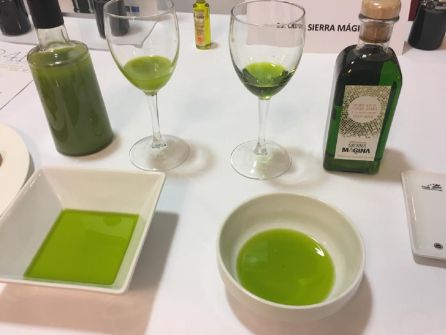 Algunos de los aceites ya extraídos de esta campaña Algunos de los aceites ya extraídos de esta campaña