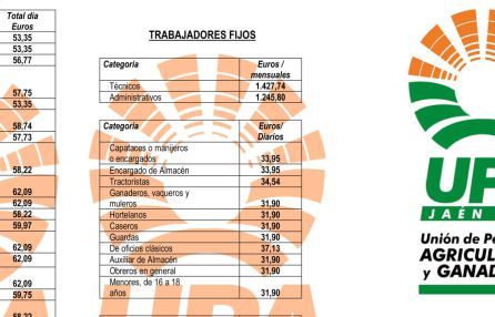 Tabla salarial del campo. Tabla salarial del campo.