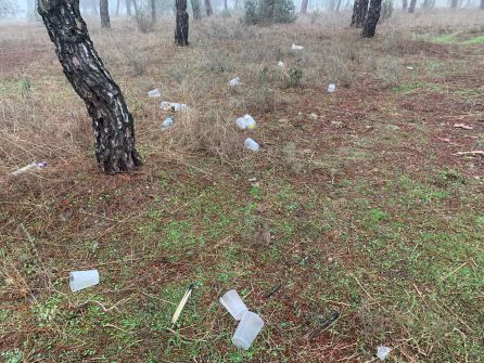 Parte de la basura que el colectivo recogió en el Pinar de Antequera Parte de la basura que el colectivo recogió en el Pinar de Antequera