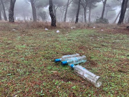 Parte de la basura recogida por el colectivo en el Pinar de Antequera Parte de la basura recogida por el colectivo en el Pinar de Antequera