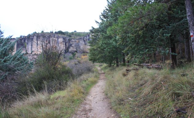De camino a la cueva de la Zarza. De camino a la cueva de la Zarza.