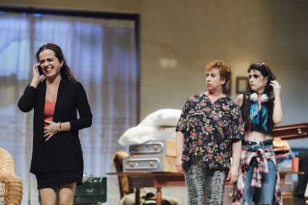 Obra de teatro 'Una familia normal' Obra de teatro 'Una familia normal'