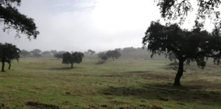 Ruta Cerro Muriano - Córdoba, por la Armenta en otoño Ruta Cerro Muriano - Córdoba, por la Armenta en otoño