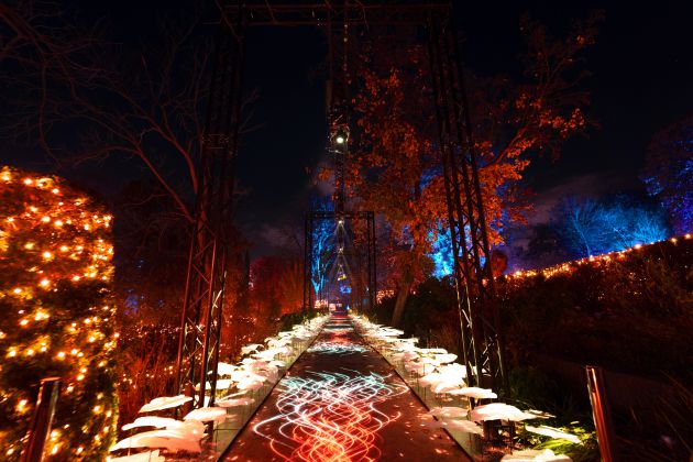 Otra forma de conocer el Botánico, un paseo nocturno que se convierte en un espectáculo de iluminación Otra forma de conocer el Botánico, un paseo nocturno que se convierte en un espectáculo de iluminación