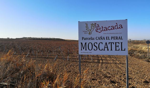 Viñedos de Finca La Estacada. Viñedos de Finca La Estacada.
