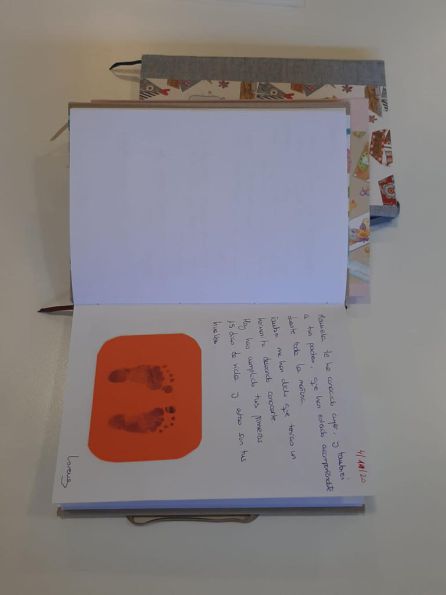 Cuadernos de vida de los bebés prematuros Cuadernos de vida de los bebés prematuros