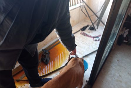Rescate del animal del balcón lleno de excrementos y orines Rescate del animal del balcón lleno de excrementos y orines