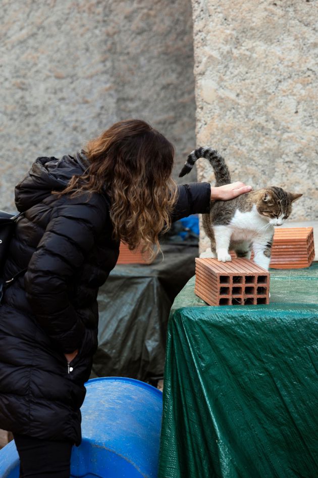 La concejala de Bienestar Animal, Gloria Tello, visita una colonia felina La concejala de Bienestar Animal, Gloria Tello, visita una colonia felina