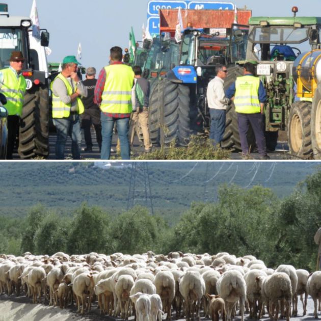 Protestas del sector agrario y ganadero durante 2020 reclamando precios justos Protestas del sector agrario y ganadero durante 2020 reclamando precios justos