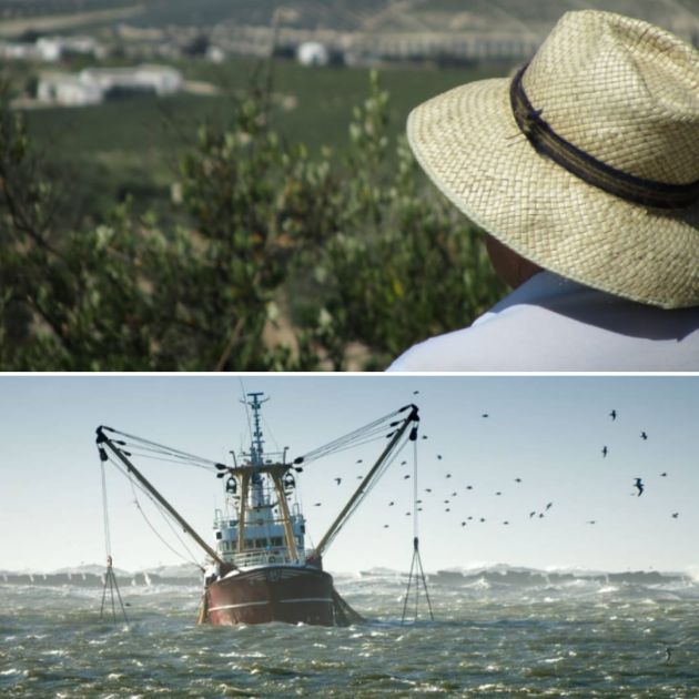 Balance del año en el sector agrario y pesquero de Andalucía Balance del año en el sector agrario y pesquero de Andalucía