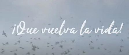 Canción solidaria del Pastas Gallo Canción solidaria del Pastas Gallo