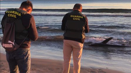 Agentes de la Guardia Civil levantando el acta Agentes de la Guardia Civil levantando el acta