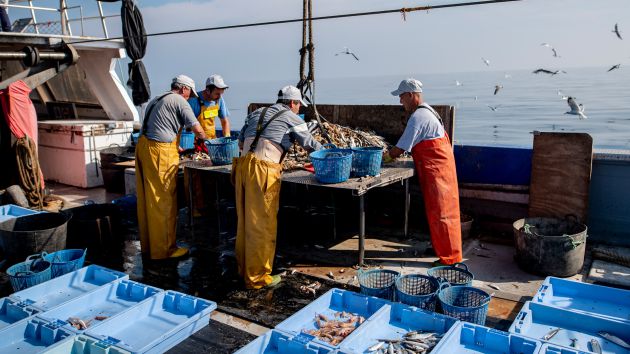 Los pescadores de la Comunitat rescatan 76.000 kilos de basura marina del Mediterráneo Los pescadores de la Comunitat rescatan 76.000 kilos de basura marina del Mediterráneo
