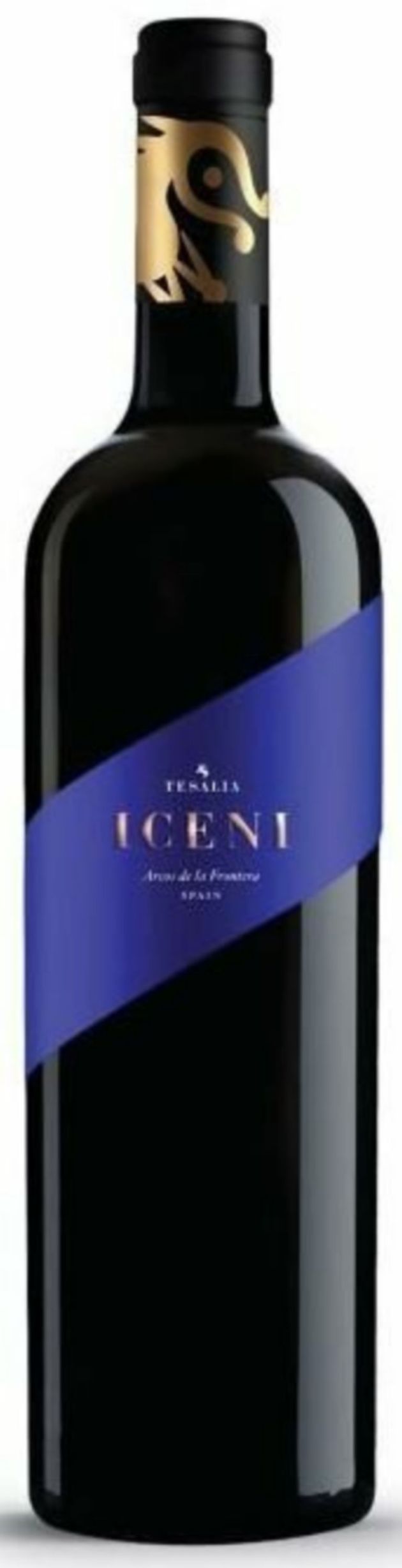 Iceni Iceni