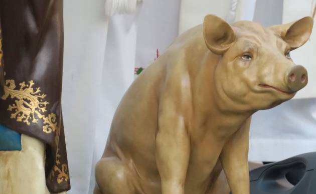 Imagen del cerdo que acompaña a San Antón Imagen del cerdo que acompaña a San Antón