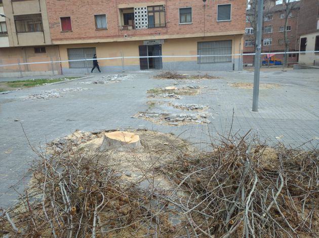 Las obras en la zona incluyen el derribo algunos árboles que serán reemplazados Las obras en la zona incluyen el derribo algunos árboles que serán reemplazados