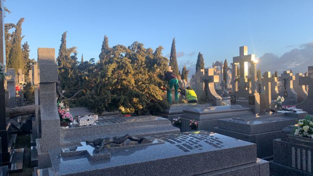 Trabajadores municipales procediendo a la retirada de los árboles caídos en el cementerio de Calzada de Calatrava Trabajadores municipales procediendo a la retirada de los árboles caídos en el cementerio de Calzada de Calatrava