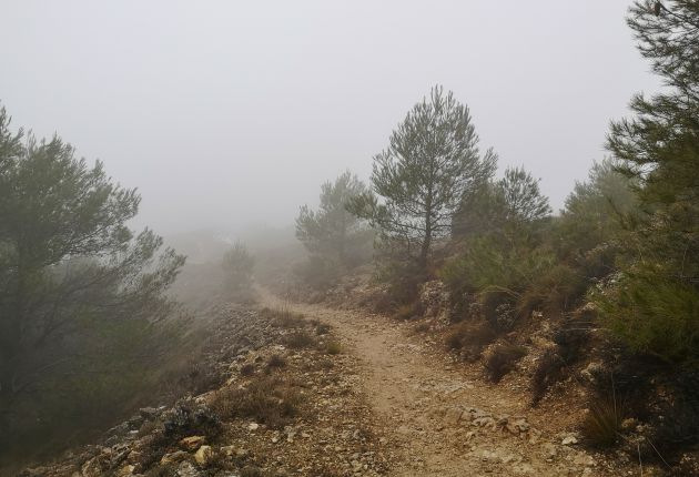 De camino a la cima del cerro de las antenas de Cuenca. De camino a la cima del cerro de las antenas de Cuenca.