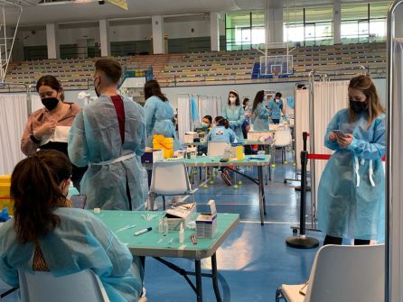 Diferentes líneas de vacunación Diferentes líneas de vacunación