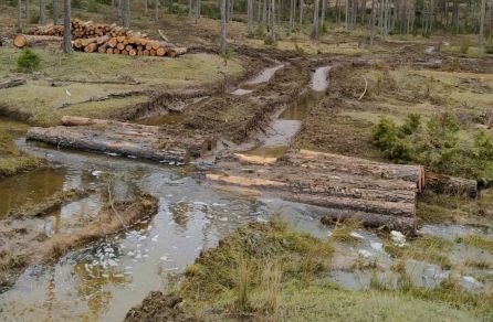 El Juzgado nº 2 de Cuenca investiga un posible delito medioambiental El Juzgado nº 2 de Cuenca investiga un posible delito medioambiental