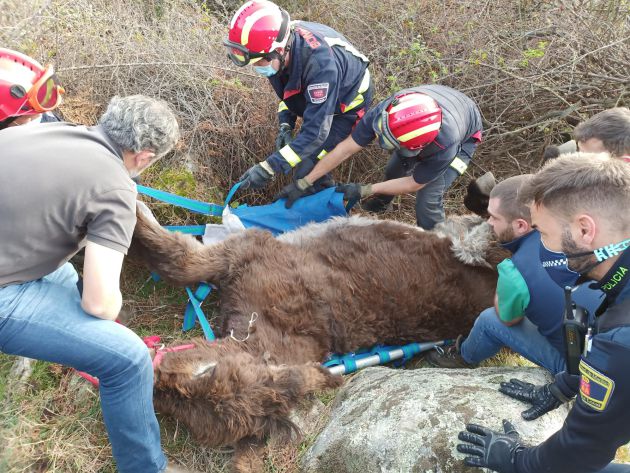 Olivia, rodeada por los equipos de emergencia. Olivia, rodeada por los equipos de emergencia.